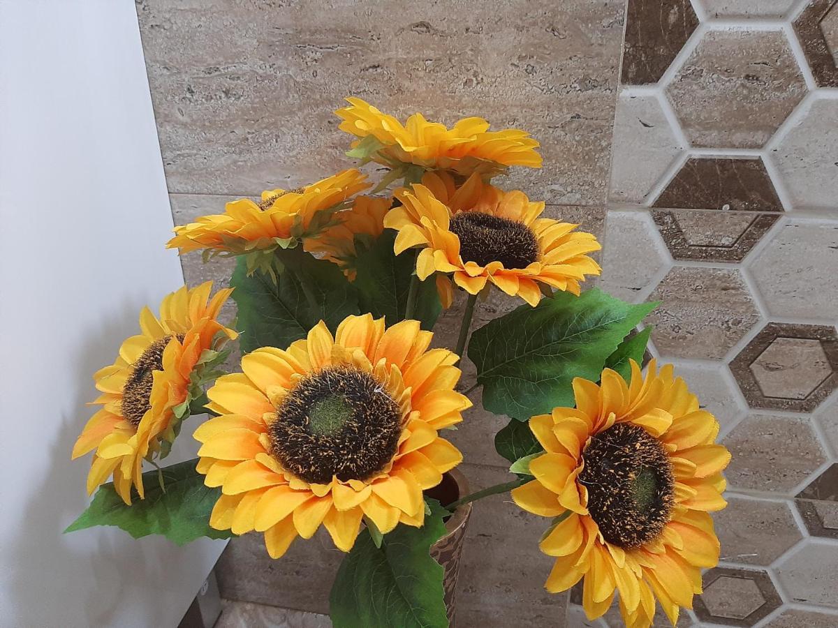Вила Мая 2 Krayni Dol Dış mekan fotoğraf